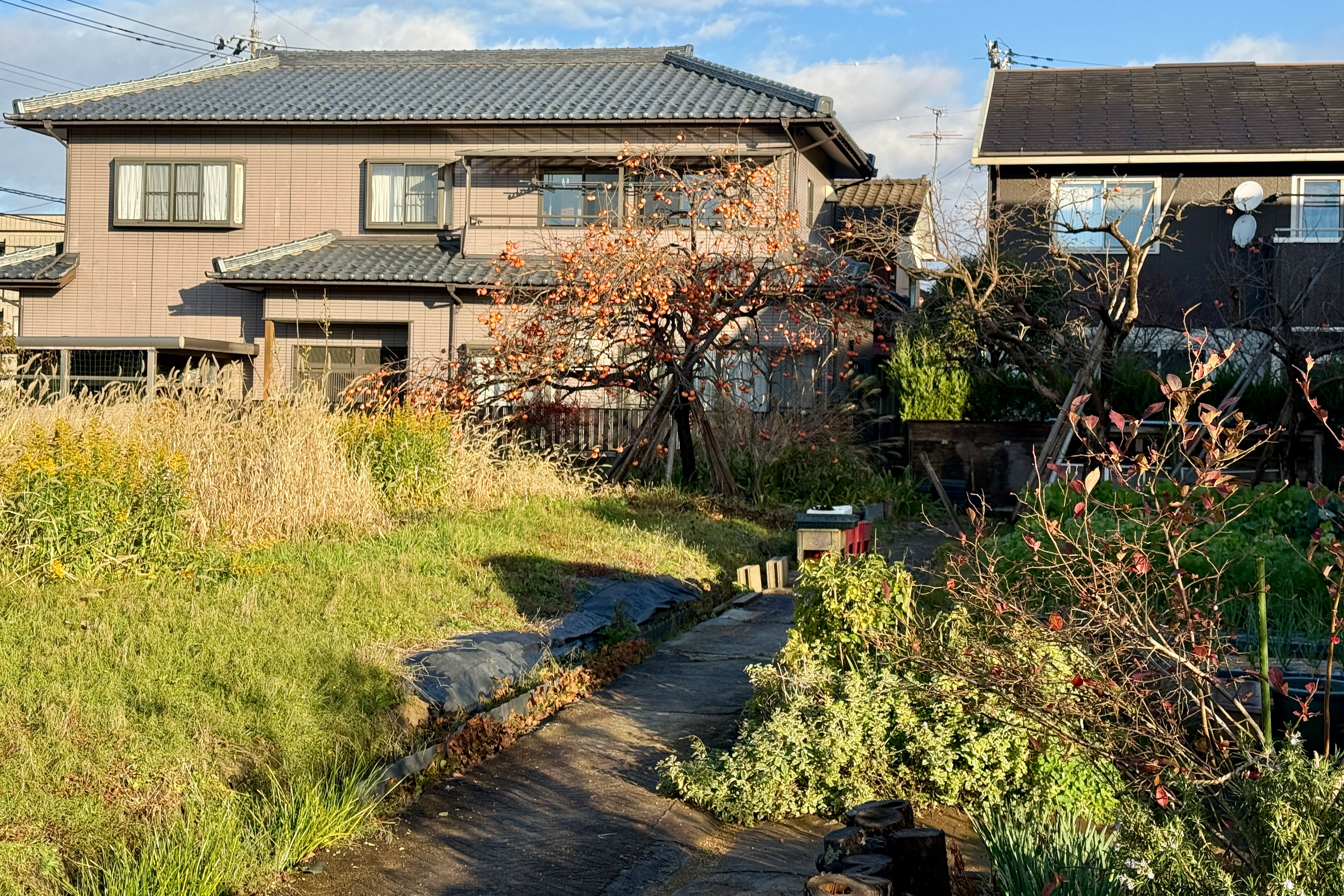 空き地・駐車場の草刈り